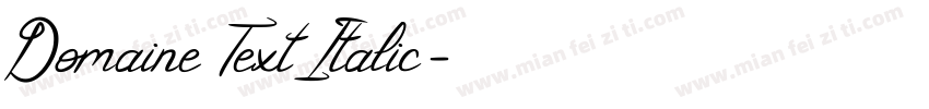 Domaine Text Italic字体转换